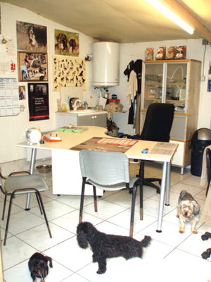 le bureau